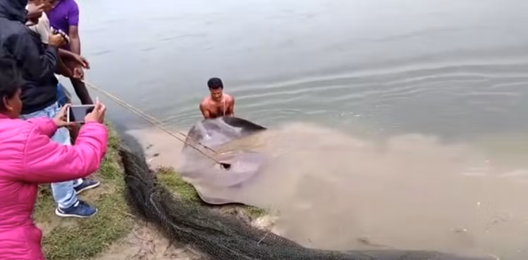 Giang luoi bat ca, ai ngo dung trung 'quai vat' bien khong lo