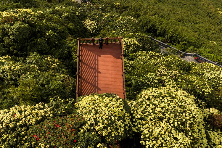 Man nhan voi ve dep than tien cua Sa Pa trong mua hoa do quyen dong loat bung no-Hinh-9