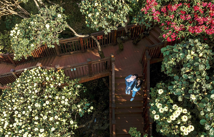 Man nhan voi ve dep than tien cua Sa Pa trong mua hoa do quyen dong loat bung no-Hinh-6