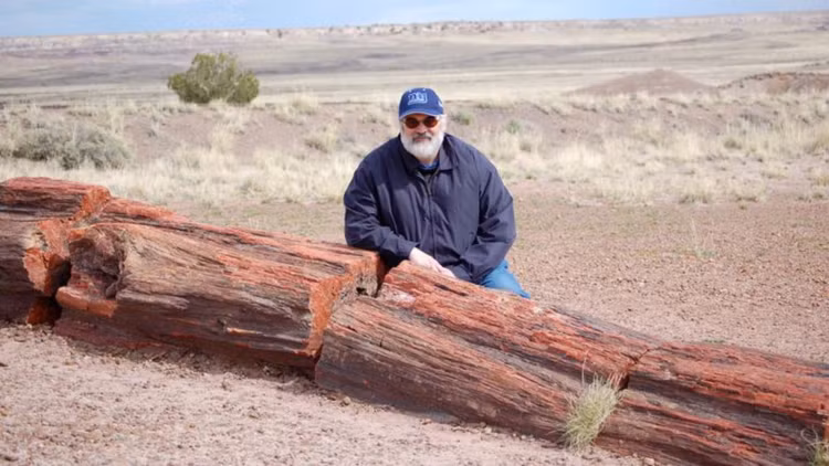 Loai go quy hon vang ca the gioi san lung, co o Viet Nam-Hinh-4