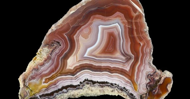 Loai go quy hon vang ca the gioi san lung, co o Viet Nam-Hinh-9