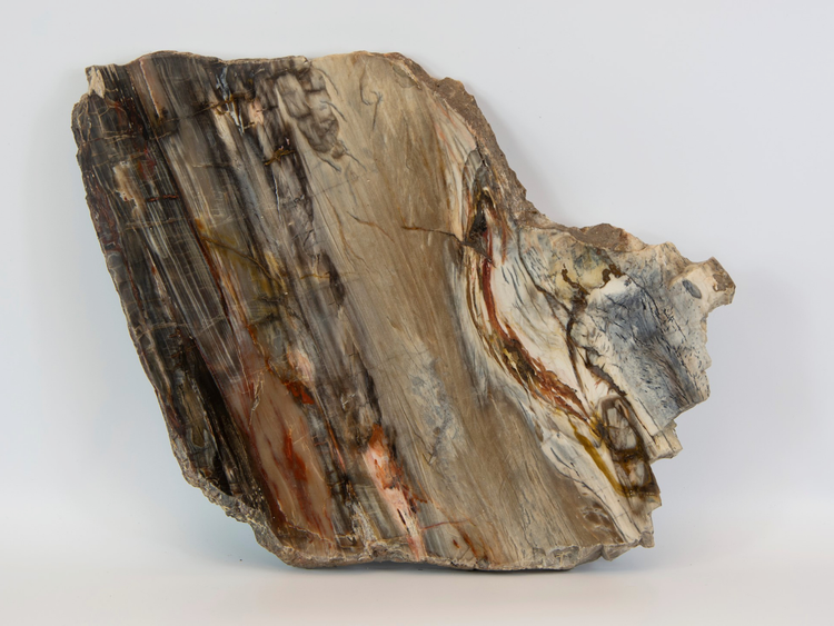 Loai go quy hon vang ca the gioi san lung, co o Viet Nam-Hinh-7