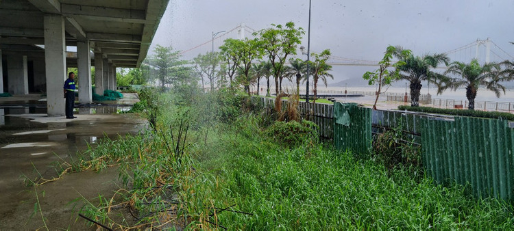 Can canh “dat vang” bo hoang giua trung tam Da Nang-Hinh-4