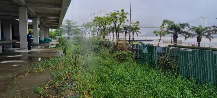 Can canh “dat vang” bo hoang giua trung tam Da Nang-Hinh-4