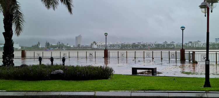 Can canh “dat vang” bo hoang giua trung tam Da Nang-Hinh-5