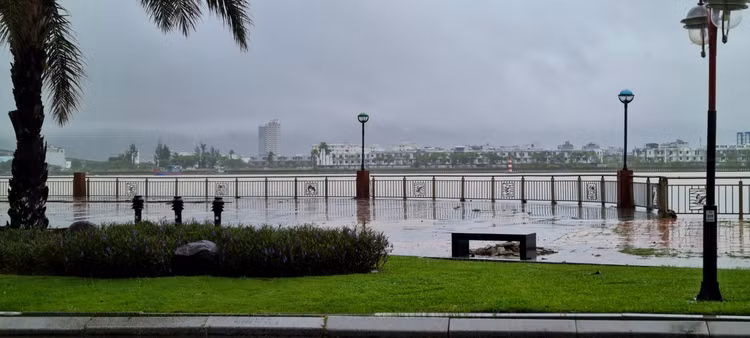 Can canh “dat vang” bo hoang giua trung tam Da Nang-Hinh-5