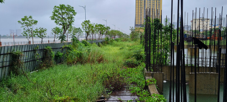 Can canh “dat vang” bo hoang giua trung tam Da Nang-Hinh-6