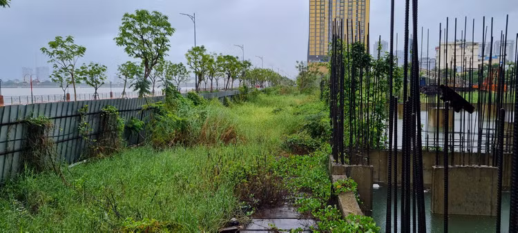 Can canh “dat vang” bo hoang giua trung tam Da Nang-Hinh-6