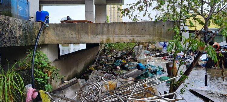 Can canh “dat vang” bo hoang giua trung tam Da Nang-Hinh-12