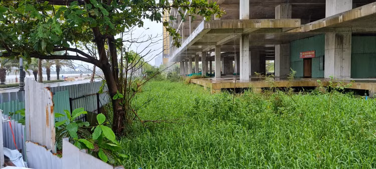 Can canh “dat vang” bo hoang giua trung tam Da Nang-Hinh-3