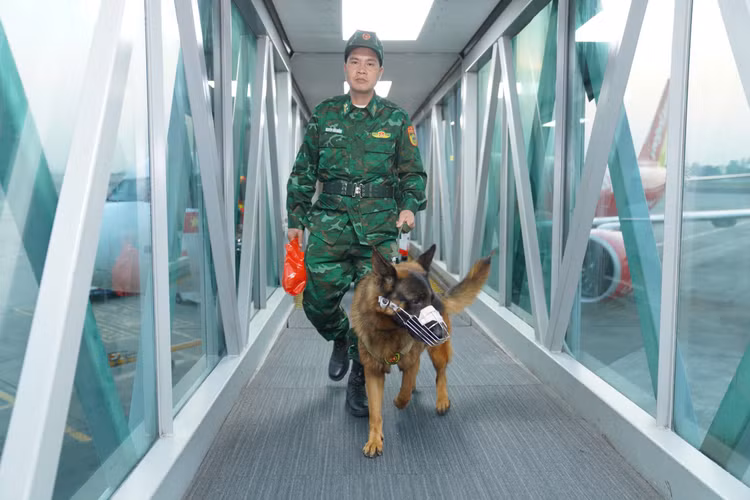 Cong an, Quan doi Viet Nam cu luc luong cuu nan, cuu ho den Myanmar-Hinh-5