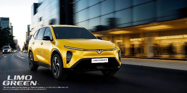 VinFast Green van qua “hot” nho dac quyen “0 dong - 0 gioi han”-Hinh-2