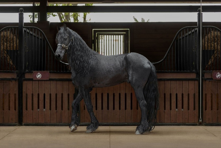 Hoc vien Cuoi Ngua Vinpearl Vu Yen to chuc Hoi thao chuyen sau-Hinh-6