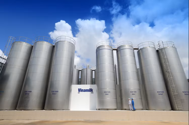 Vinamilk – thuong hieu mang dam ''ban sac'' TP.HCM trong hanh trinh 50 nam-Hinh-3