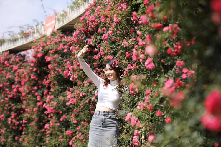 ​Vo van trai nghiem hap dan tai Fansipan dip le 30/4 - 1/5-Hinh-4