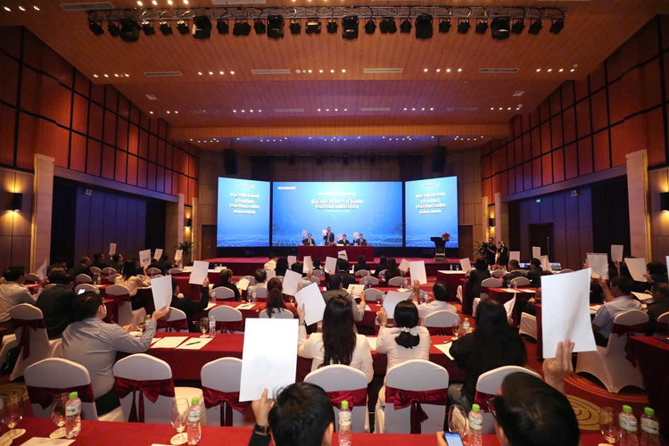 EVNFINANCE to chuc thanh cong dai hoi co dong nam 2025-Hinh-2