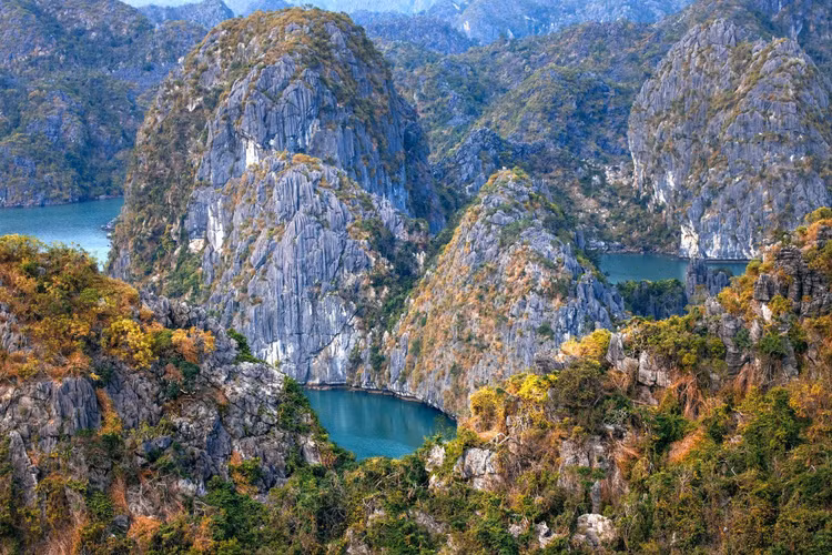 Nhà vua và Hoàng hậu Bỉ ngắm cảnh đẹp Cát Bà từ trên không - Hình 3 Nha vua va Hoang hau Bi ngam canh dep Cat Ba tu tren khong-Hinh-3