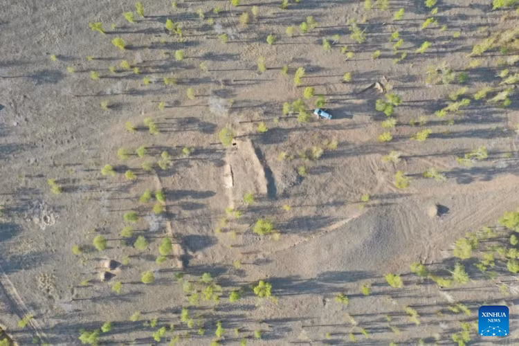 Khai quat lang mo co, bat ngo dung trung 'rong ngoc'-Hinh-8