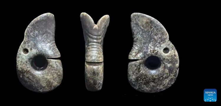 Khai quat lang mo co, bat ngo dung trung 'rong ngoc'-Hinh-6