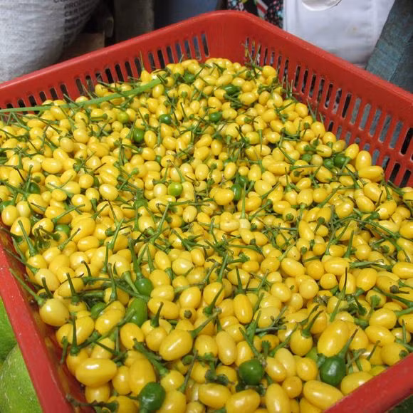 Loai qua gia vi dat bac nhat the gioi, Viet Nam day ray-Hinh-6