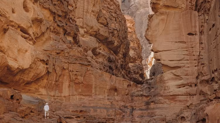 Dan sinh vat bi phong an 2 ty nam trong da: Van song nhan-Hinh-4