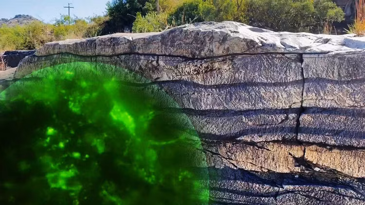 Dan sinh vat bi phong an 2 ty nam trong da: Van song nhan-Hinh-7