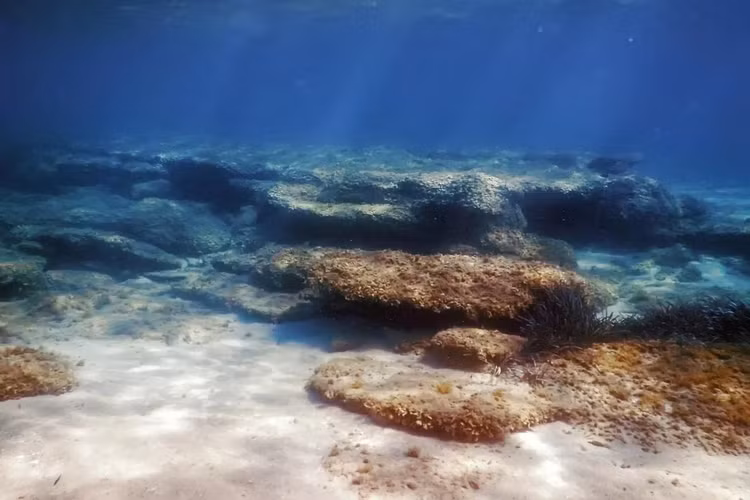 Phat hien vung phong xa di thuong duoi day dai duong, chuyen gia noi gi?-Hinh-2