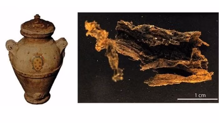 Khai quat mo co, phat hien bi mat gay am anh ca nhan loai-Hinh-5