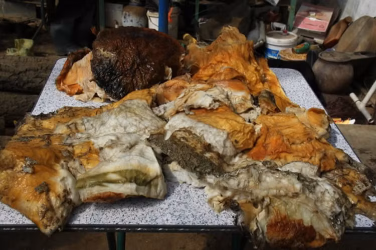 Dao duoc 'bau vat' chuc ty, anh nong dan 'doi doi' sau 1 dem-Hinh-7