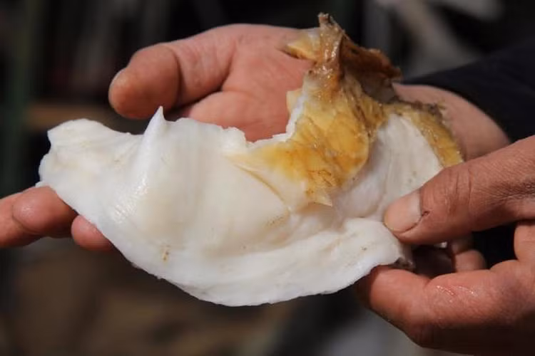 Dao duoc 'bau vat' chuc ty, anh nong dan 'doi doi' sau 1 dem-Hinh-8