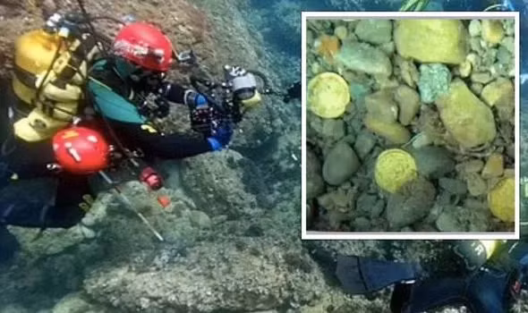 Don rac duoi bien, bat ngo nhat duoc 'kho bau' day vang-Hinh-4