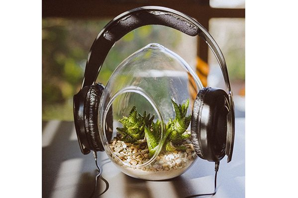 8 sự thật thú vị về thế giới khiến con người ngỡ ngàng - Hình 3 8 su that thu vi ve the gioi khien con nguoi ngo ngang-Hinh-3