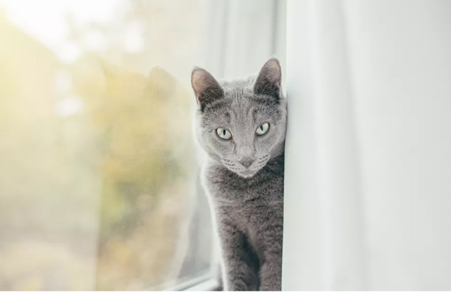 8 sự thật thú vị về thế giới khiến con người ngỡ ngàng - Hình 7 8 su that thu vi ve the gioi khien con nguoi ngo ngang-Hinh-7