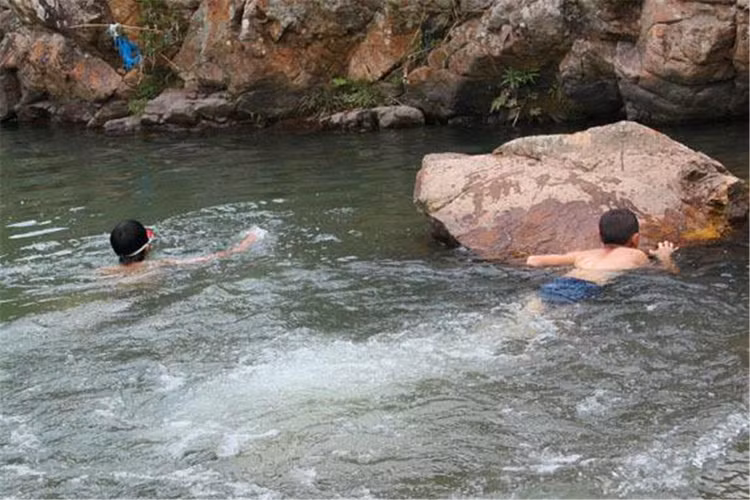 Vat the la niu chan cau be tam song, chuyen gia phan co vat quy