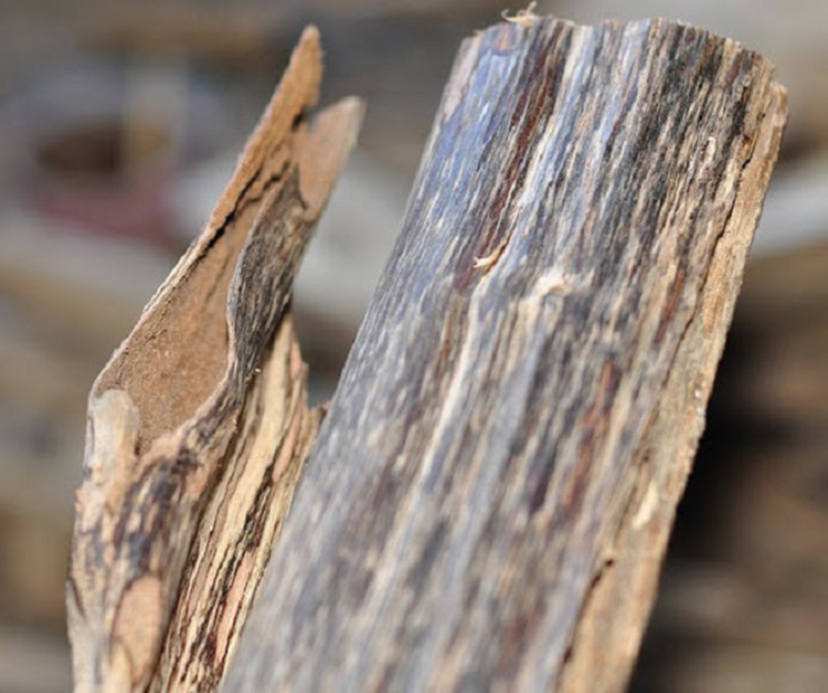 Ra khoi danh ca, vo tinh vot duoc 'bau vat' hon 3.000 ty dong-Hinh-4