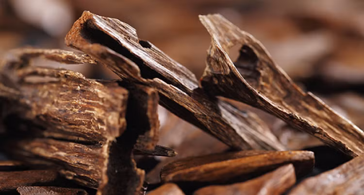 Ra khoi danh ca, vo tinh vot duoc 'bau vat' hon 3.000 ty dong-Hinh-9