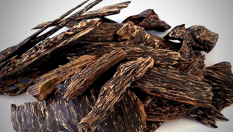 Ra khoi danh ca, vo tinh vot duoc 'bau vat' hon 3.000 ty dong-Hinh-3