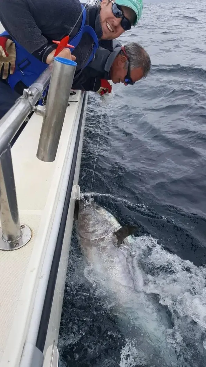 Cau duoc 'quai ngu' khong lo 84 ty, can thu bat ngo lam viec nay