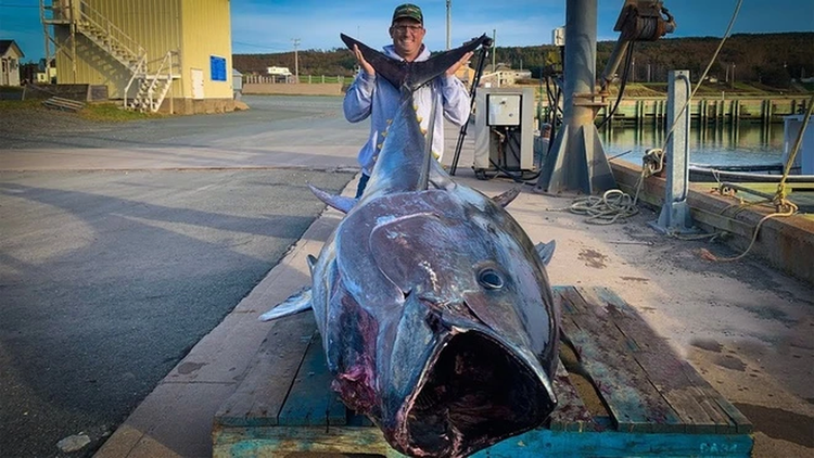 Cau duoc 'quai ngu' khong lo 84 ty, can thu bat ngo lam viec nay-Hinh-7