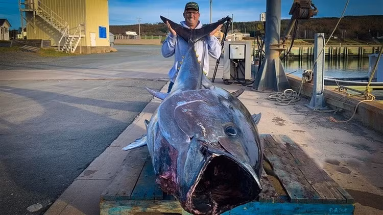 Cau duoc 'quai ngu' khong lo 84 ty, can thu bat ngo lam viec nay-Hinh-7