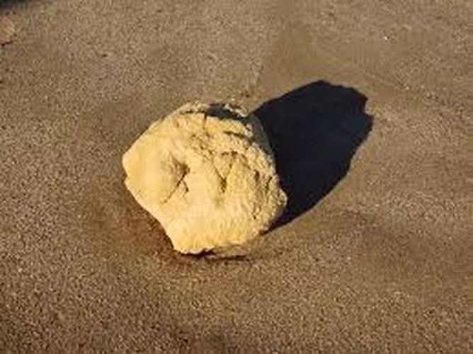 Dao bo bien, vo tinh nhat duoc 'bau vat', chang trai lap tuc doi doi-Hinh-6