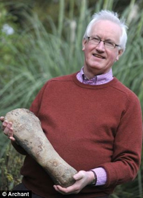 Giat minh quai vat bien rang nhon hoat, co the nghien nat o to-Hinh-4