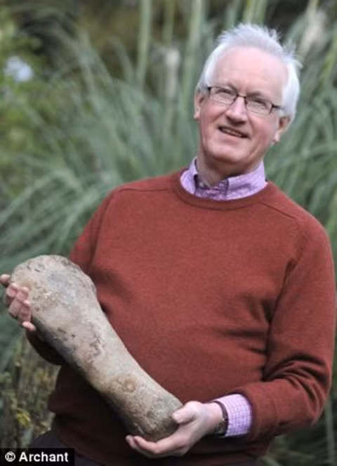 Giat minh quai vat bien rang nhon hoat, co the nghien nat o to-Hinh-4