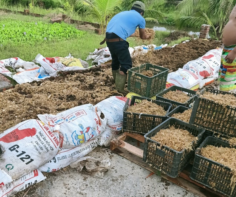 Nam giang vien nghi day ve lam nong nghiep sach, thu hang chuc ty moi nam-Hinh-8
