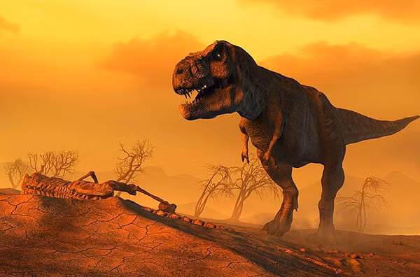 Nhung cuoc dai tuyet chung dang so nhat, dinh hinh lai su song Trai dat-Hinh-9