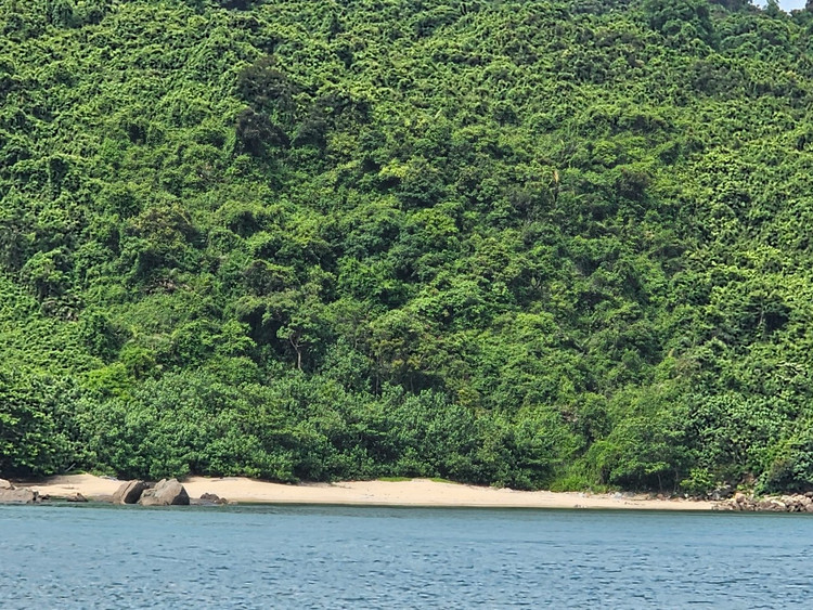 Bai Cat Vang - Thien duong bien hoang so duoi chan nui Khi-Hinh-4