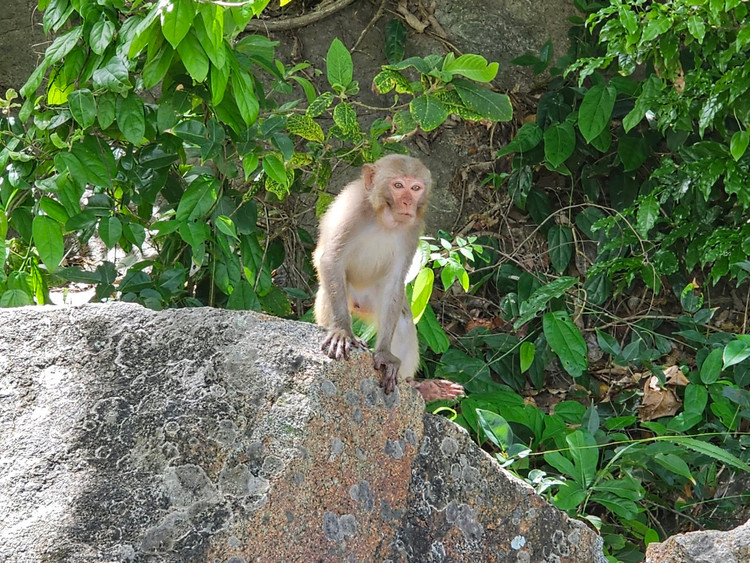 Bai Cat Vang - Thien duong bien hoang so duoi chan nui Khi-Hinh-12