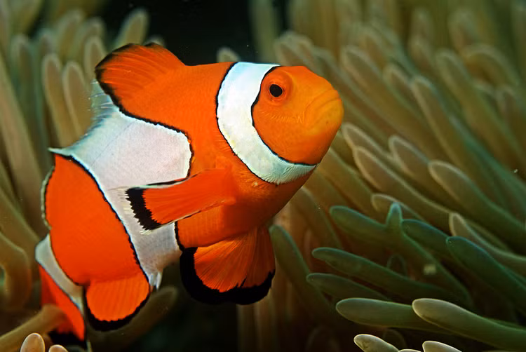 Mat tron mat det xem dong vat 