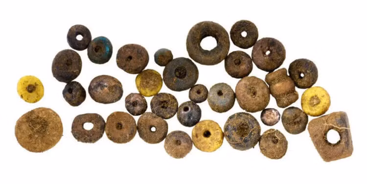 Khai quat mo co, bat ngo tim duoc kho bau ky la-Hinh-6