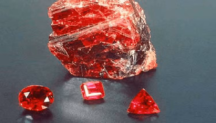 Bi an vien da quy cua Viet Nam, chuyen gia quoc te ngo ngang-Hinh-8